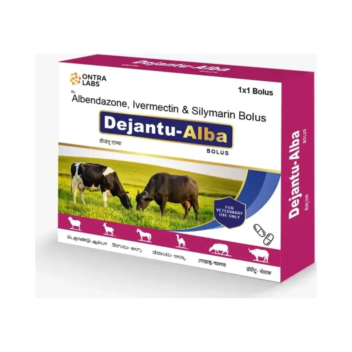 Dejantu-Alba Bolus & Susp. pack