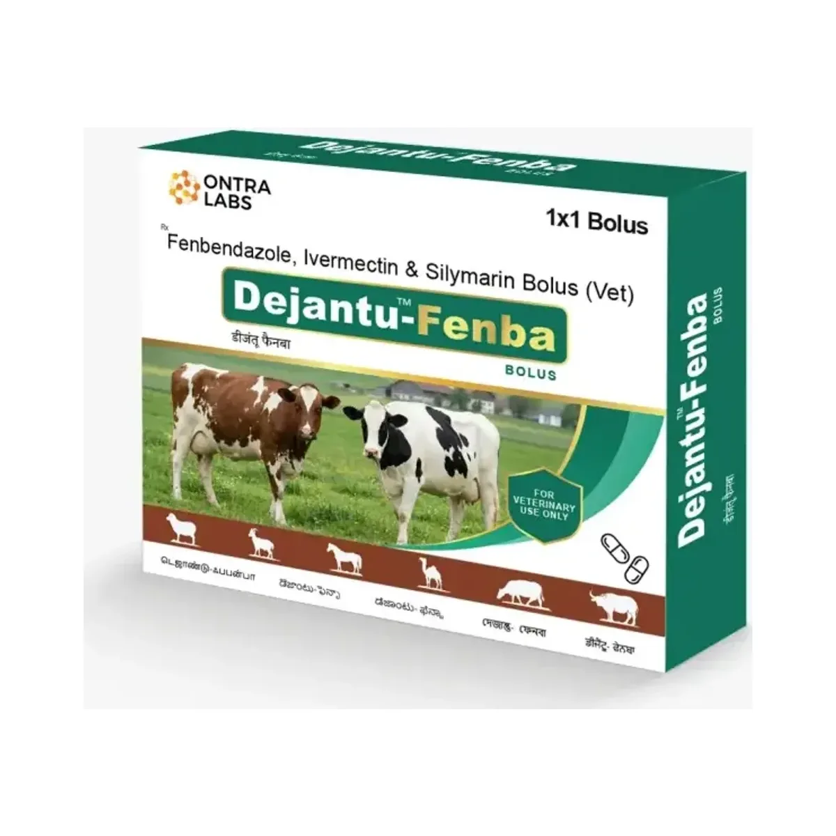 Dejantu-Fenba Bolus pack