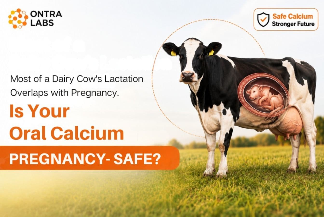 Is Your Oral Calcium Supplement Pregnancy-Safe? Ontra Labs