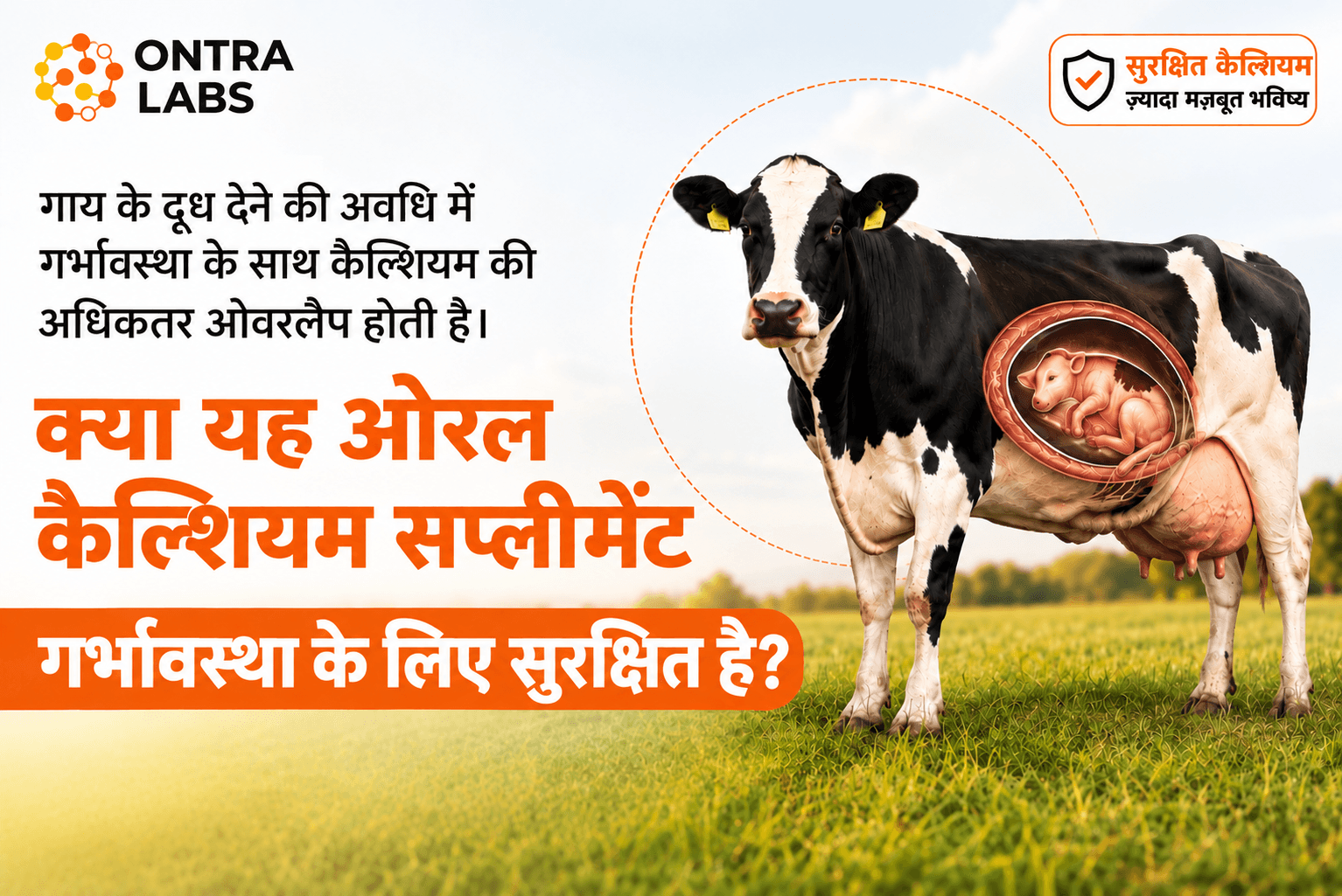क्या आपका ओरल कैल्शियम सप्लीमेंट गर्भावस्था के दौरान सुरक्षित है? | Ontra Labs