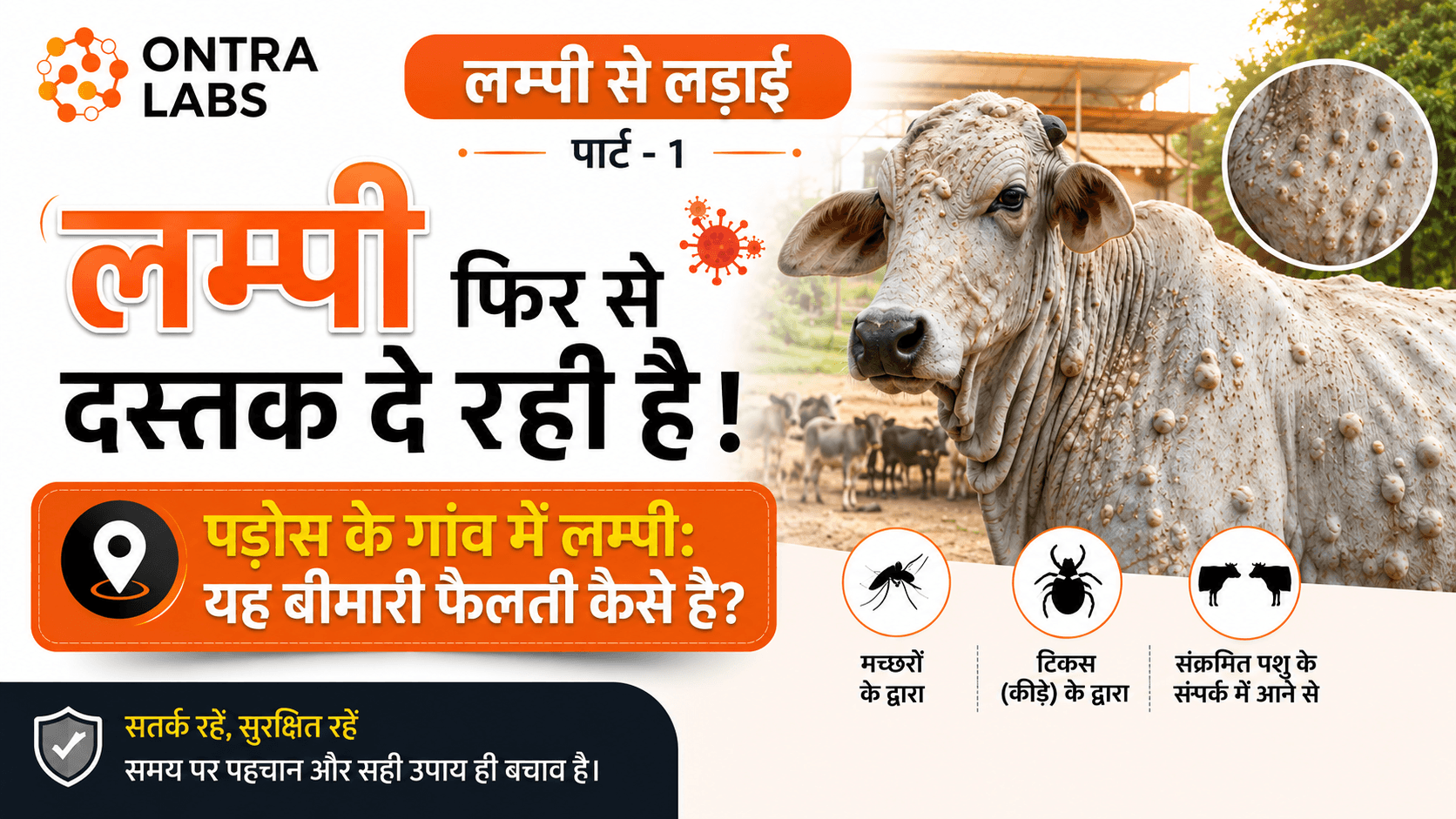 लम्पी फिर से दस्तक दे रही है ! Ontra Labs