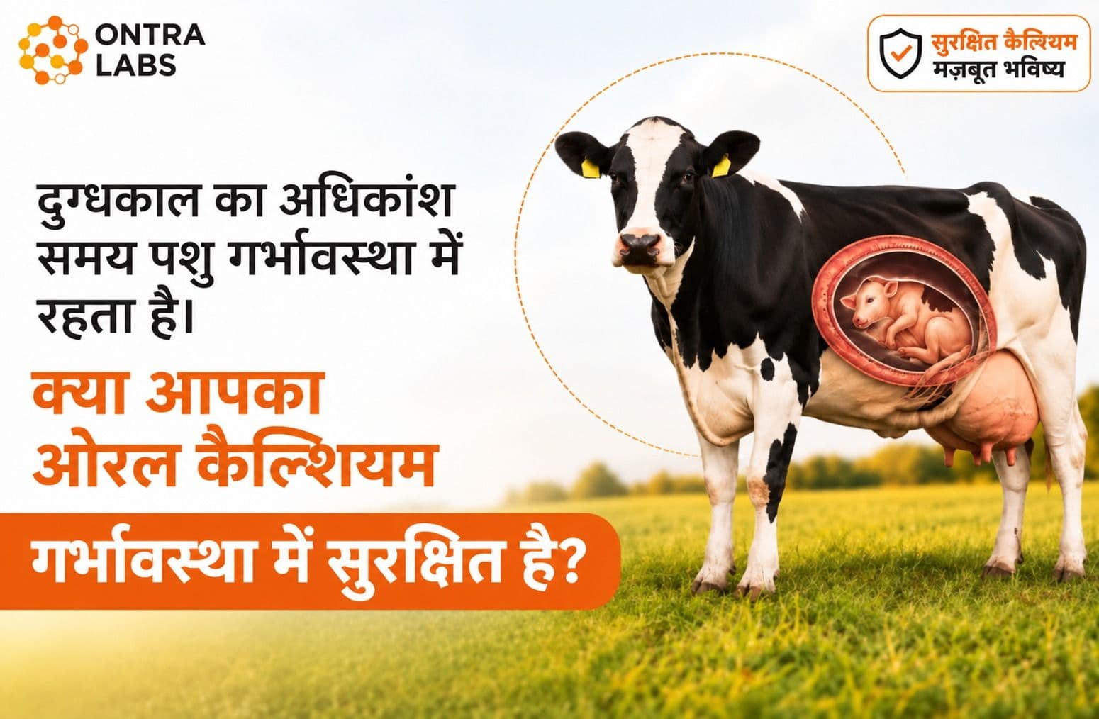 क्या आपका ओरल कैल्शियम सप्लीमेंट गर्भावस्था के लिए सुरक्षित है? | Ontra Labs