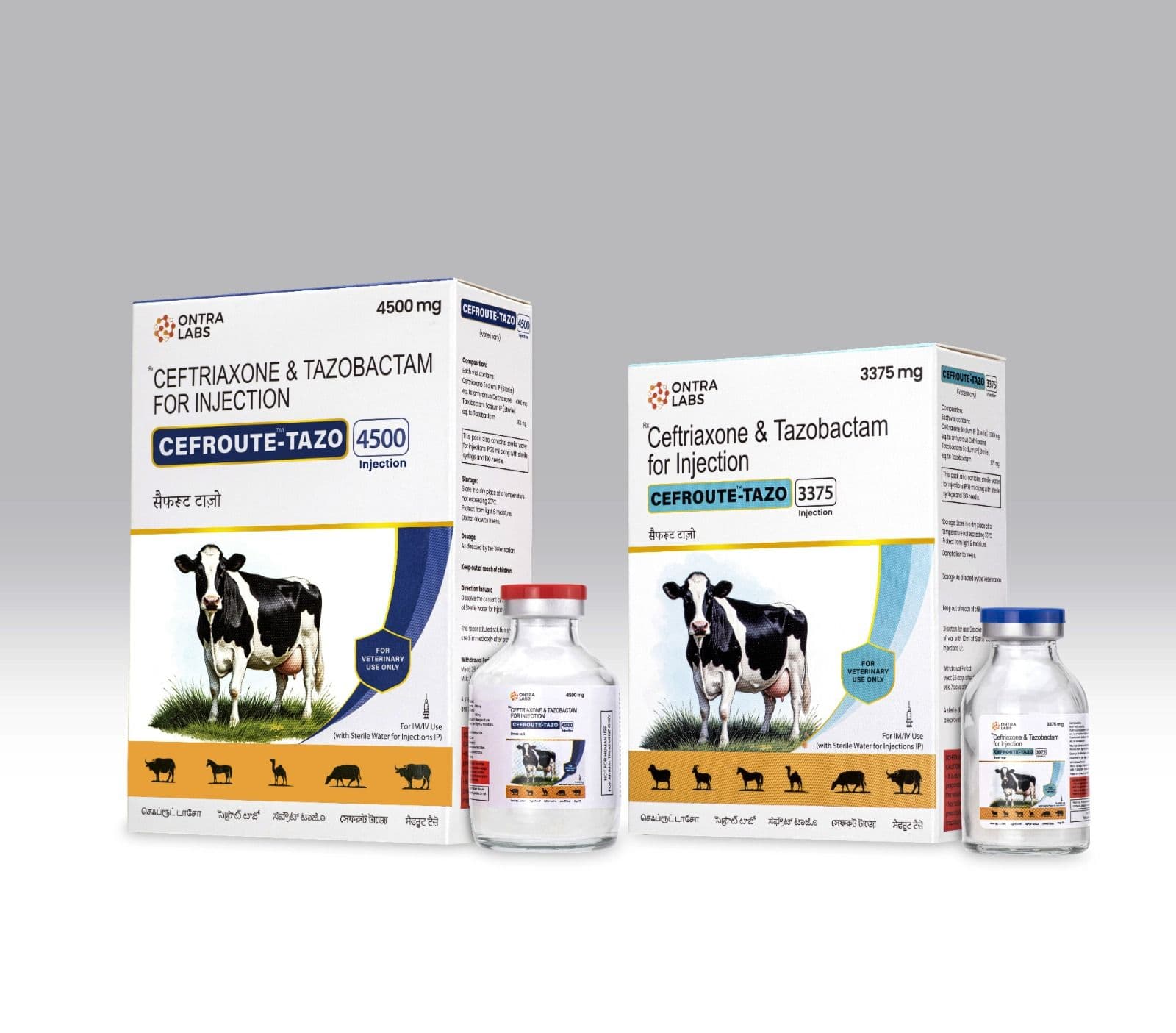 Cefroute-Tazo Inj. pack